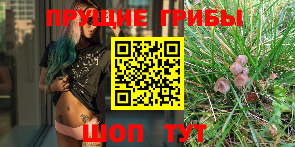 Ликино-Дулёво  Псилоцибиновые грибы Magic Shrooms  Вход с VPN 
